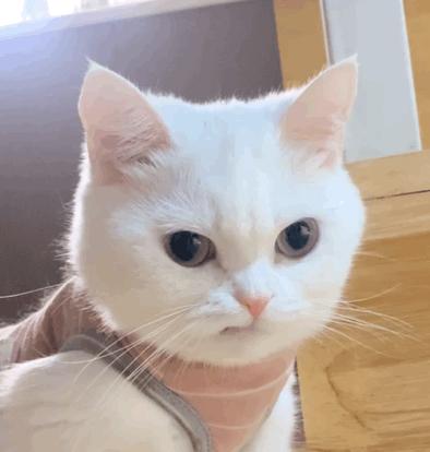 DƬ